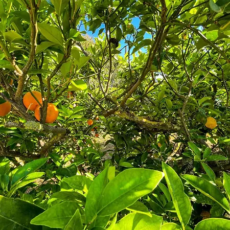 Casa Dolce Sole Сasa de vacaciones