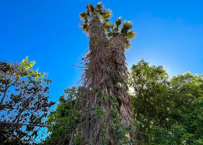 Casa Dolce Sole 펜션 취아카