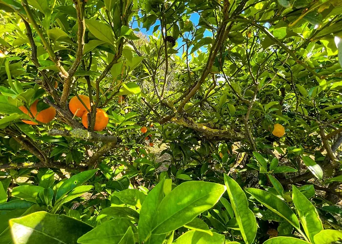 Casa Dolce Sole 펜션